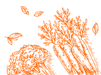 MT-481-WebBanners-Sketch3-ORANGE