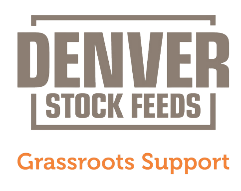 Denver for Meal time.png option 2